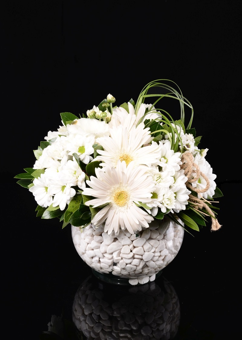 Aynı Gün Teslimat Beyazın sesi/6dal gerbera 6dal papatya(ortalama 20cm cam veya seramık vazoda)bursada çiçekçi,altınşehirde çiçekçi,özlücede çiçekçi,beşevlerde çiçekçi,çalıda çiçekçi,kayapada çiçekçi,nilüfere çiçek,ihsaniyede çiçekçi,ataevlerde çiçekçi